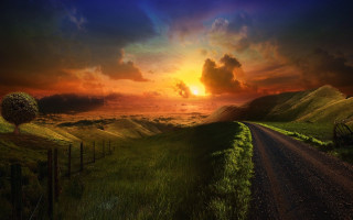 Dirt road grassy field sunset 2 - a grassy field free wallpaper