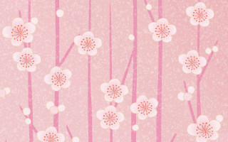 Pink flower background annabel kidston - white flower free wallpaper