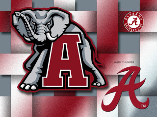 Elephant checkered background red white - an elephant free wallpaper