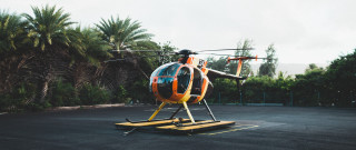 Helicopter parking lot forest bush - a forest of trees and bushes free wallpaper