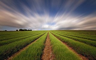 Clouds grass dirt path landscape - a sky free wallpaper