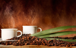 Coffee cups beans leaves digital - coffee free wallpaper
