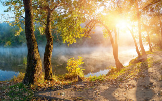 River trail trees sunshine autumn - evgeny lushpin free wallpaper