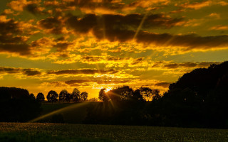 Sunset clouds trees field crepuscular - crepuscular ray free wallpaper