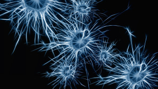 Blue fireworks night sky kimono - biopunk free wallpaper