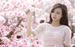 Woman pink flower tree portrait - fei danxu free wallpaper