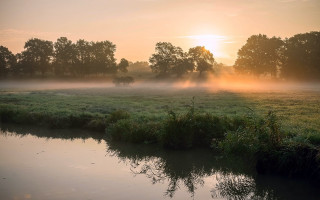 Foggy river forest sunset landscape - a sun setting free wallpaper