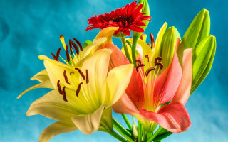 Flower vase table blue sky - a vase free wallpaper