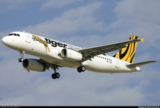 Tiger airlines plane landing gear - its landing free wallpaper