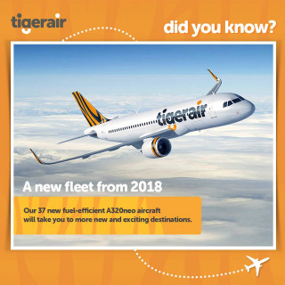 Tiger airplane flying sky caption - free airplane wallpaper