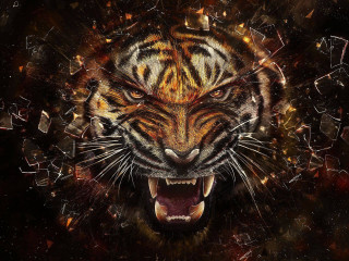 Tiger mouth open teeth wide 10 - its mouth open free wallpaper