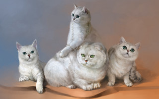 Three cats stacked tabletop calico - a painting free wallpaper