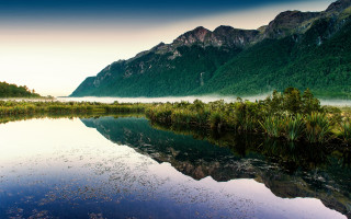 Mountain lake forest mist sunset - tree and grass free wallpaper for desktop