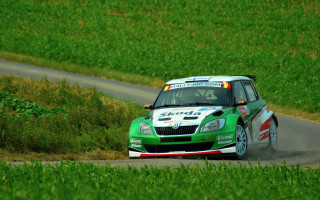 Green car road field fence - a road next free wallpaper