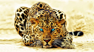 Leopard blue eyes digital painting 2 - carlos catasse free wallpaper for desktop
