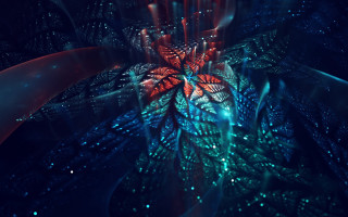 Flower bubbles lights dark background - a red center free wallpaper
