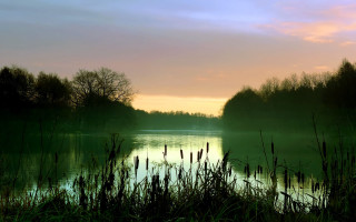 Lake trees clouds reeds evening - anthony s waters free wallpaper