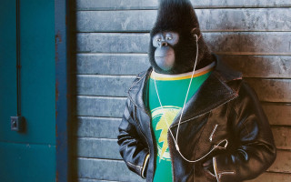Monkey leather jacket headphones afrofuturism - a monkey free wallpaper