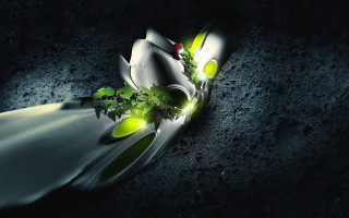 Knife plant glowing space stars - a black surface free wallpaper
