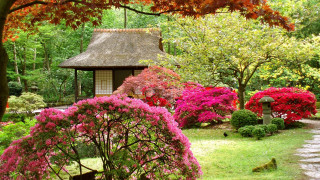 Garden gazebo flowers trees path - impressionist free wallpaper