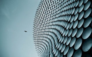 Plane building curved design bird - buckminster fuller free wallpaper