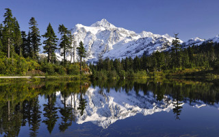 Mountain lake reflection forest bench - the shore free wallpaper