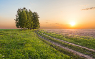 Dirt road green field sunset - a dirt road free wallpaper