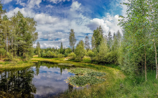 Pond trees grass sky clouds - a pond free wallpaper