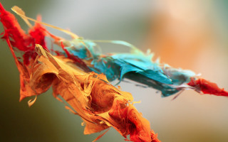 Colorful fire macro breathing flame - macro art free wallpaper