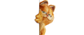 Cat glasses peeking wall sign - glass free wallpaper