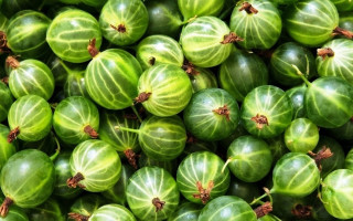 Green vegetables pile sparkle food - a pile together free wallpaper