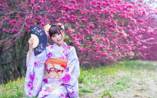 Woman kimono fan cherry blossoms - a woman in a kimono holding free wallpaper