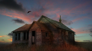 House field bird sunset pink - a house in a field free wallpaper