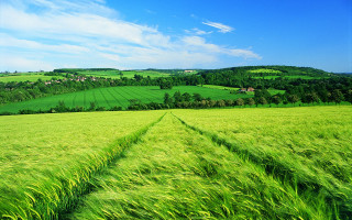 Field green grass road hill - house free wallpaper