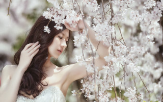 Woman smiling white dress flower - a woman free wallpaper