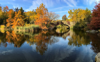 River bridge trees fall colors - a bridge over free wallpaper
