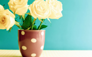 Polka dot vase white roses - anne dunn free wallpaper