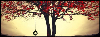 Tree tire hanging sky clouds - beautiful composition free wallpaper