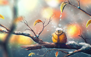 Bird rainy branch leaves autumn - chris labrooy free wallpaper