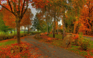 Autumn leaves bench park fence - a path in a park free wallpaper