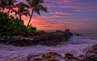 Sunset rocky beach palm waves - a sunset over a rocky beach free wallpaper