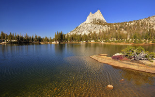 Mountain lake trees cityscape bridge - clear free wallpaper