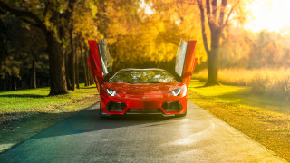 Red sports car doors open - its door free wallpaper