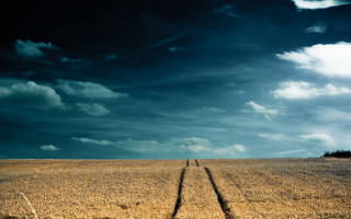 Lone tree field clouds night - chris friel free wallpaper