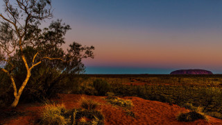Desert tree pink sky sunset - a rock in the background free wallpaper