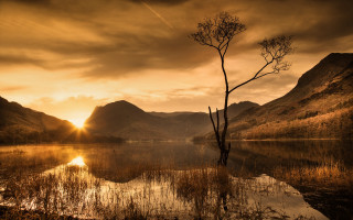 Lone tree lake sunset mountains 5 - the background and a sun setting free wallpaper