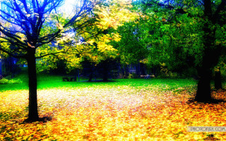 Park bench trees fall colors - a park free wallpaper