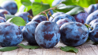 Plums leaves wooden table blurry - a green leafy branch free wallpaper