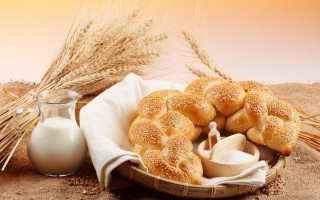 Bread milk wheat table cloth - professional free wallpaper for desktop