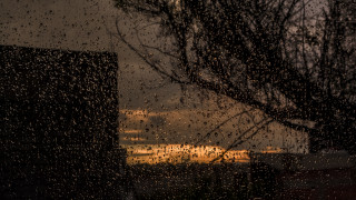 Rainy window building tree stormy - australian tonalism free wallpaper